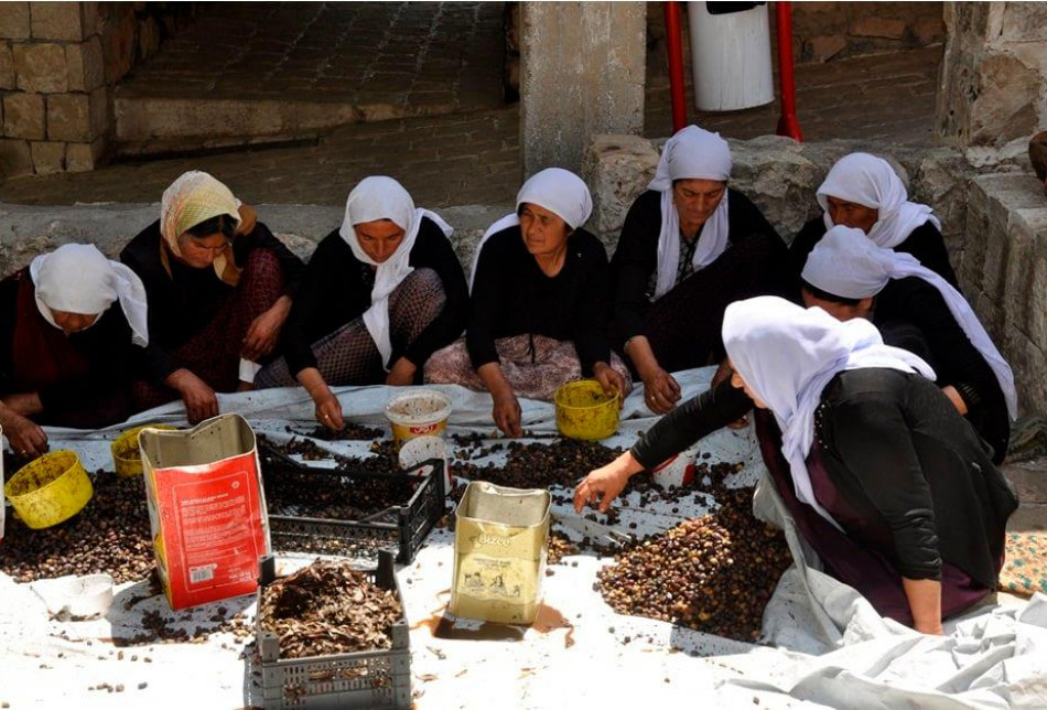 ئه‌و بۆنه‌یه‌ بۆته‌ به‌شێك له‌ نه‌ریته‌ باوه‌كانی پێكهاته‌ی ئێزیدی و ساڵانه‌ ئه‌نجامده‌درێت